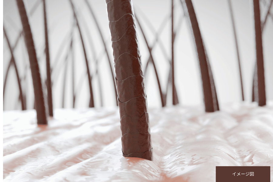 ドライヘッドスパ